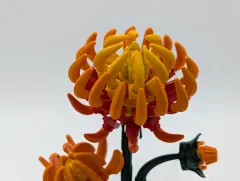 08 LEGO #10368