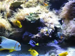 01-My-first-wigglegram