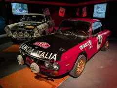 PXL_20250227_110028071 - PXL_20250227_110032277