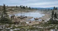 TempoLake3D16000 0 - TempoLake3D16000 1